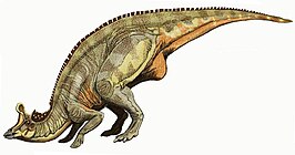 Lambeosaurus