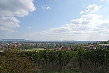 Mainstockheim mit einem Kirchturm, im Vordergrund Rebzeilen, im Hintergrund der Ort Buchbrunn.