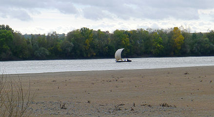 Gabare remontant la Loire au niveau de Béhuard.