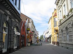 Slavonski Brod, centar