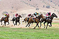 Image 10 Horse racing Credit: Fir0002 Horses race on grass at the 2006 Tambo Valley Races in Swifts Creek, Victoria, Australia. Horseracing is the third most popular spectator sport in Australia, behind Australian rules football and rugby league, with almost 2 million admissions to the 379 racecourses throughout Australia in 2002–03. More selected pictures