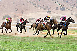 Tambo valley races 2006 edit