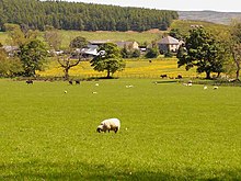 Titlington - geograph.org.uk - 1332849.jpg