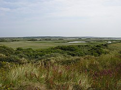 Kroon's Polders (municipality of Vlieland)