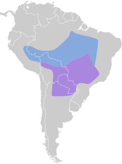 Distribución geográfica del burlisto castaño.