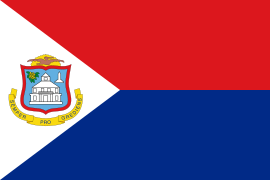 Bandera de San Martín