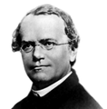 Gregor Mendel geboren op 20 juli 1822