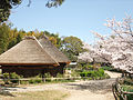 Open-Air Museum Of Old Japanese Farm Houses