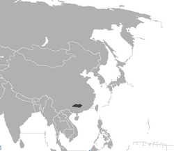 Distribución de P. t. amoyensis