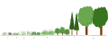 Primary Succession. Primary succession is the development of soil and life in an area without topsoil. For primary succession to begin, an event must render an area void of plant life and soil. (1) After a volcano or glacial retreat, bare rocks are left. (2) Lichens and mosses grow on the rocks, then the rocks are slowly broken down as plants grow over them and a soil layer is formed from dead plant material. (#) Grass starts to grow with the lichen. (4) Taller grasses and perennials thrive. These species are replaced by new vegetation in the following succession, which happens gradually: (5) low shrubs, high shrubs, (6) shrub-trees, (7) short trees such as pines, and (8) high trees. The area eventually becomes covered in forest and remains that way. The succeeding plants do not all come at once, but as taller plants thrive, smaller plants are outcompeted as their light source is blocked by taller plants; they eventually die and are replaced by taller plants.