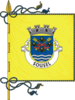 Flag of Sousel