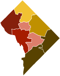 Race by ward 2010