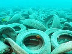 Neumáticos que constituyen el arrecife Osborne.