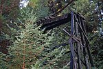 Vorschaubild für Roaring Camp and Big Trees Narrow Gauge Railroad