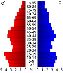 Schéma représentant la population du comté, par tranche d'âge. En rouge, à gauche, les femmes, en bleu à droite, les hommes.