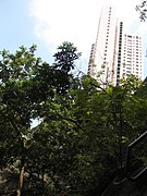 2005, greenery in Hong Kong 2.jpg