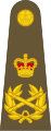 Field marshal of the British Army epaulette