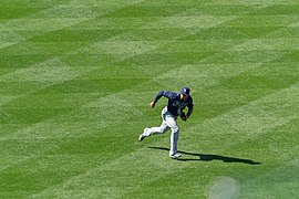 Carlos Gomez, Tampa Bay Rays.jpg