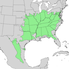 Distribución de Cercis canadensis