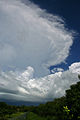 Cumulonimbus incus