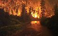 Image 27Elk Bath, an award-winning photograph of elk avoiding a wildfire in Montana (from Wildfire)