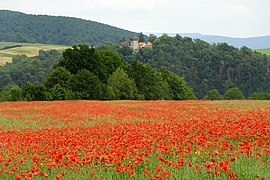 Blick von der Sommerliete auf den Westhang und Burg Fürstenstein.