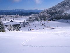 茶臼山高原スキー場 （北設楽郡豊根村）