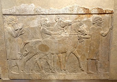 Tributaires conduisant des chevaux, provenant peut-être de Médie ou du pays de Mushki. Musée de l'Oriental Institute de Chicago.