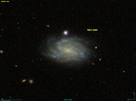 Image illustrative de l’article NGC 5065