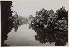 Poissy - La Seine en direction de Villennes (2).jpg