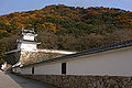 Tatsuno Castle / 龍野城