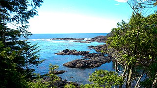View from Wild Pacific Trail Ucluelet 5.jpg