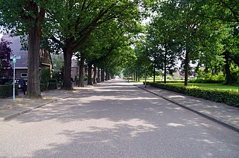 Winkelsteegseweg