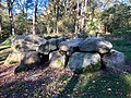 Hunebed D8 in het Kniphorstbos bij Anloo