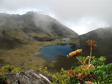 Parque nacional Chirripó En él se encuentra el cerro Chirripó, punto más alto del país (3821 msnm). Protege bosques premontanos y páramos, así como varios lagos glaciares. Cuenta con una abundante avifauna.