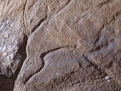 Relieve rupestre que representa una cabeza de caballo, Cueva del Moro (Tarifa, actual provincia de Cádiz)