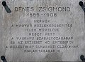 Zsigmond Dénes