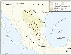 Distribución geográfica. Puntos marrones: zonas de recolección. Puntos naranjas: colecciones. ?: zonas de distribución dudosas o con poca información.[2]​