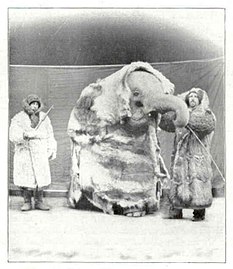 Elefant bei minus 40 Grad (1900)