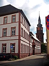 Leininger Oberhof und Martinskirche