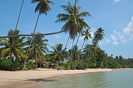 Koh Mak (island), Thailand, Palm trees on the beach.jpg