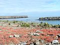 Galapaški otok Sauth Plaza