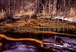 Mine drainage from Ohio.jpg