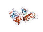 1tco​: Tercijarni kompleks fragmenta kalcineurina A, kalcineurina B, -{FKBP12}- i imunosupresivnog leka -{FK506}- (Takrolimus)