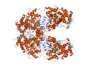 2fdw: Crystal Structure Of Human Microsomal P450 2A6 with the inhibitor (5-(Pyridin-3-yl)furan-2-yl)methanamine bound