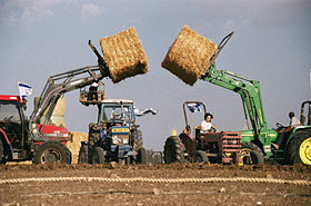 Persembahan Bikkurim di Nahalal, Israel