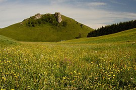 Typisches Erscheinungsbild der Mittleren Kuppenalb: Das Wiesental (ca. 780 m), ein Trockental bei Sonnenbühl