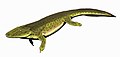 Name:Tulerpeton Time:Late Devonian Group:Teterapoda