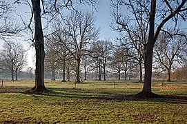 VdA parc du heron reserve naturelle 1.jpg