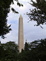 The Washington Monument seen through trees